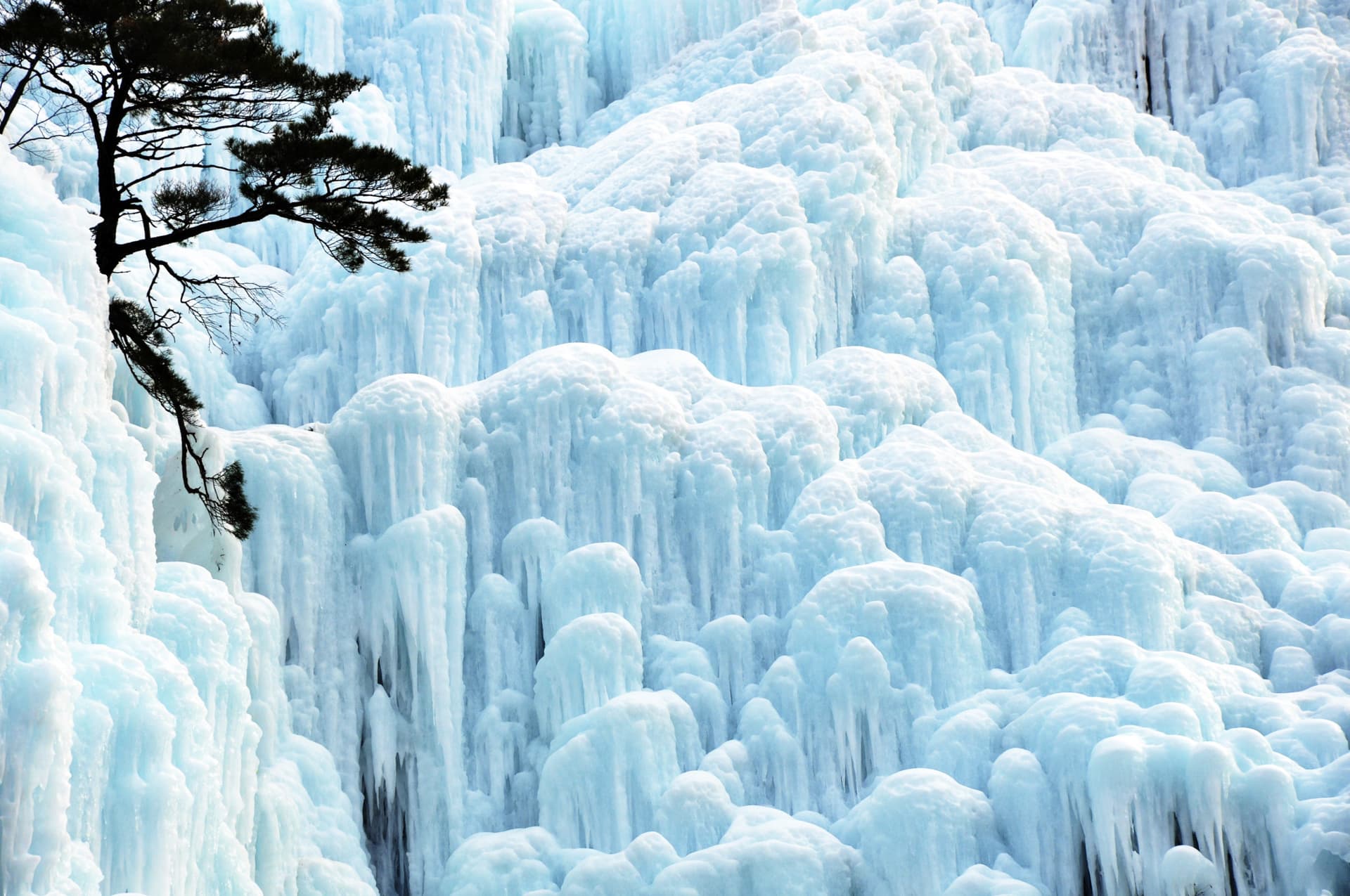 Cheongsong Ice Valley, Pohang Space Walk, and Gyeongju Full-Day Tour from Busan - image 7