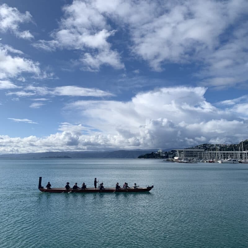 Guided Waka Tour - main image